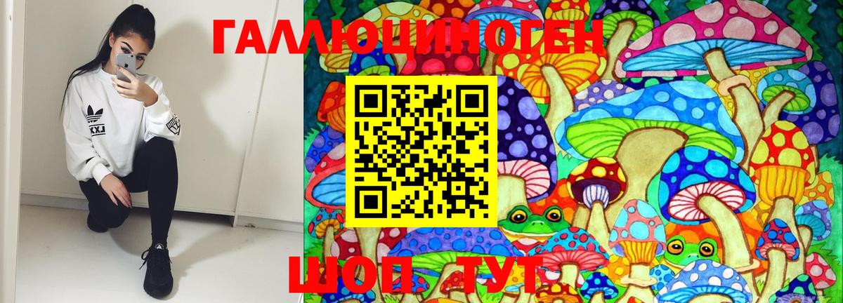 Псилоцибиновые грибы прущие грибы Моздок