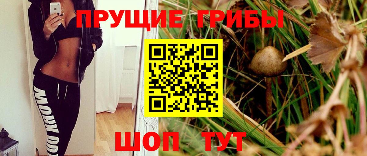 Псилоцибиновые грибы мицелий Моздок