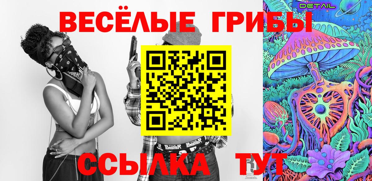 Галлюциногенные грибы Psilocybine cubensis  Галлюциногенные грибы GOLDEN TEACHER  Моздок 