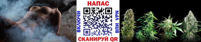 Бошки Шишки SATIVA & INDICA  Моздок 